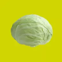 Cabbage