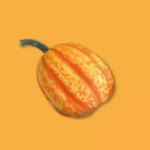 Calabaza