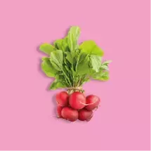 Radish