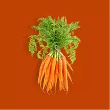 Carrot