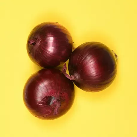 Rote Zwiebel
