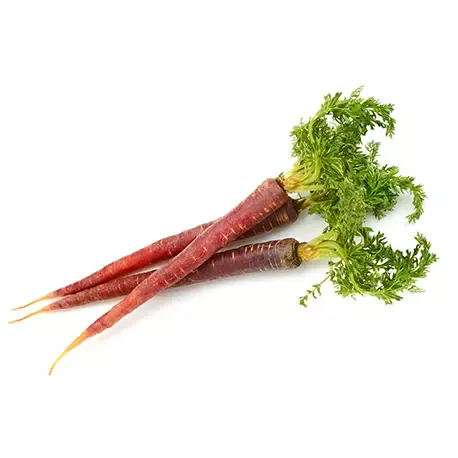 Purple carrot