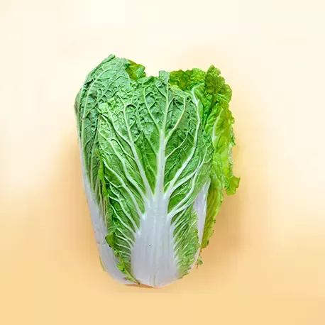 Napa cabbage