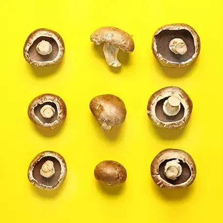 Brown champignons