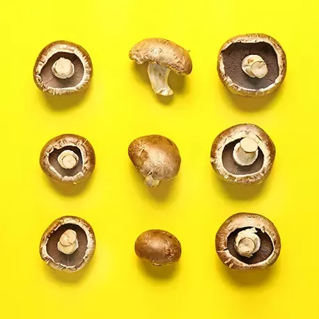 Braune Champignons