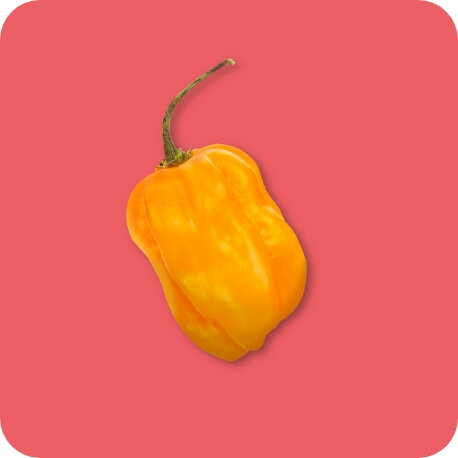 Habanero