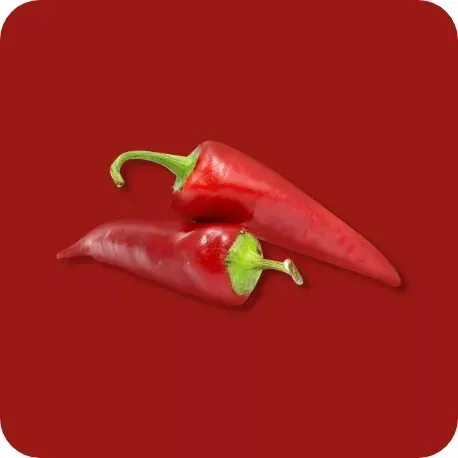 POIVRON DE CAYENNE