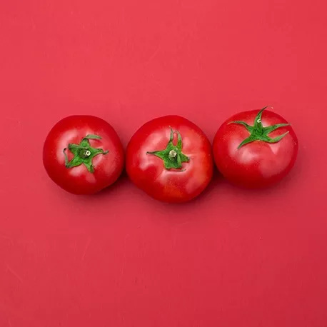 Pomidory średnioowocowe