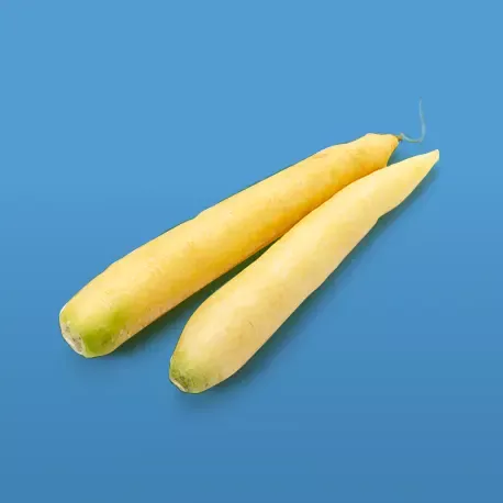 White carrot