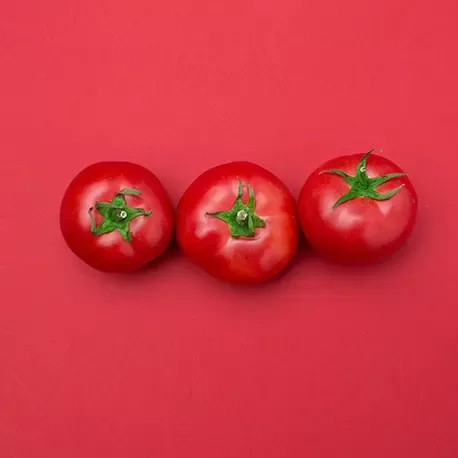 medium-fruited tomatoes