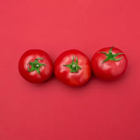 Mittelgroße Tomaten