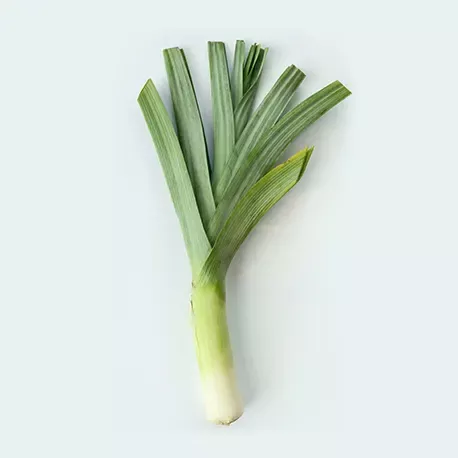 Arten