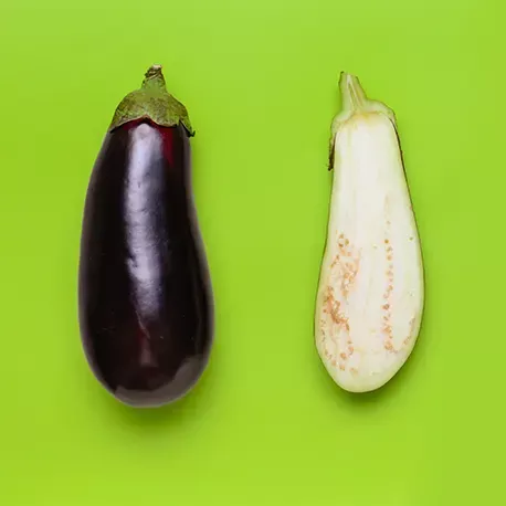 Violette Aubergine