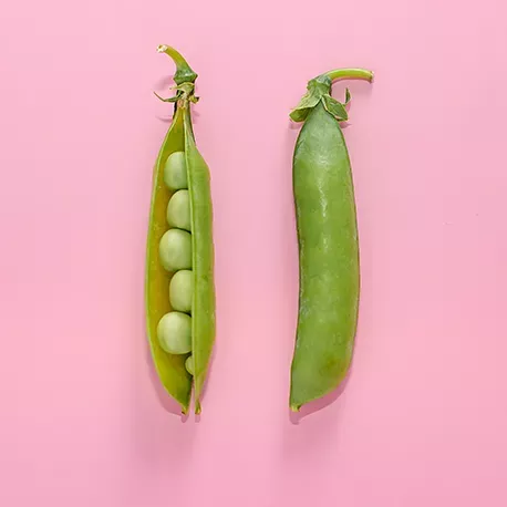 Variétés avec de jeunes graines matures