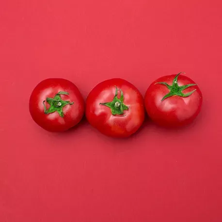 Tomates à fruits moyens