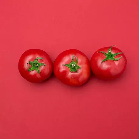 Tomates de fruto mediano