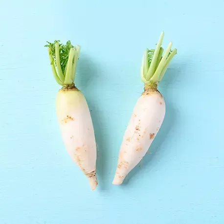 White radish