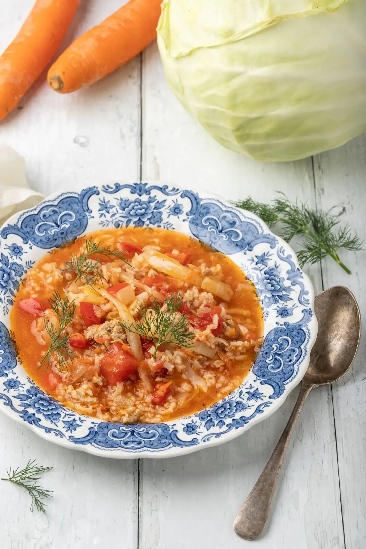 Soupe au chou, aux poivrons, aux tomates, à la viande hachée et au riz 